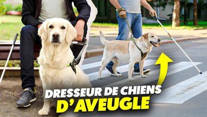 Un jour avec un dresseur de chiens guides d'aveugle