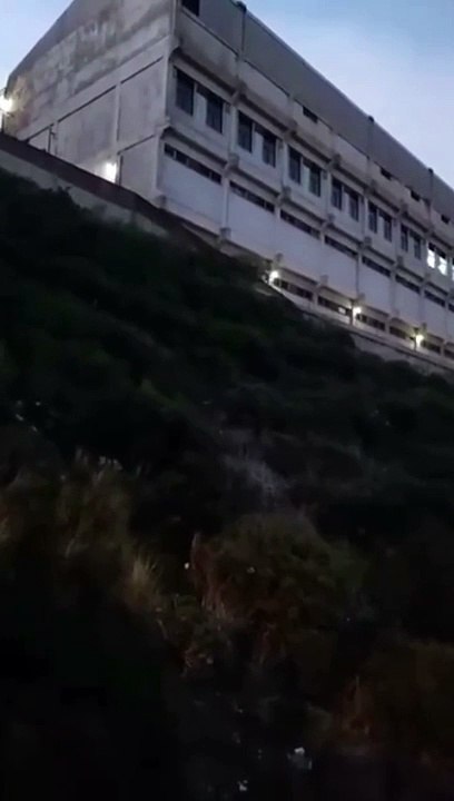 Vídeo de una vecina donde se escuchan los ladridos de los perros en las instalaciones de La Favorita