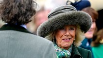 Queen Camilla joins Zara Tindall and Princess Eugenie for ‘Style Wednesday’ at Cheltenham