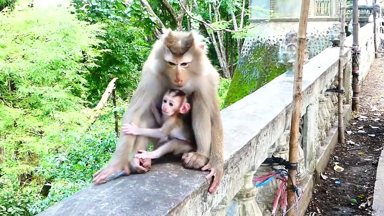 Why Careless Mother Like This_, Baby Mark Is Too Young, Milina Pulls Hand To Drop Down (720p_25fps_H264-192kbit_AAC)