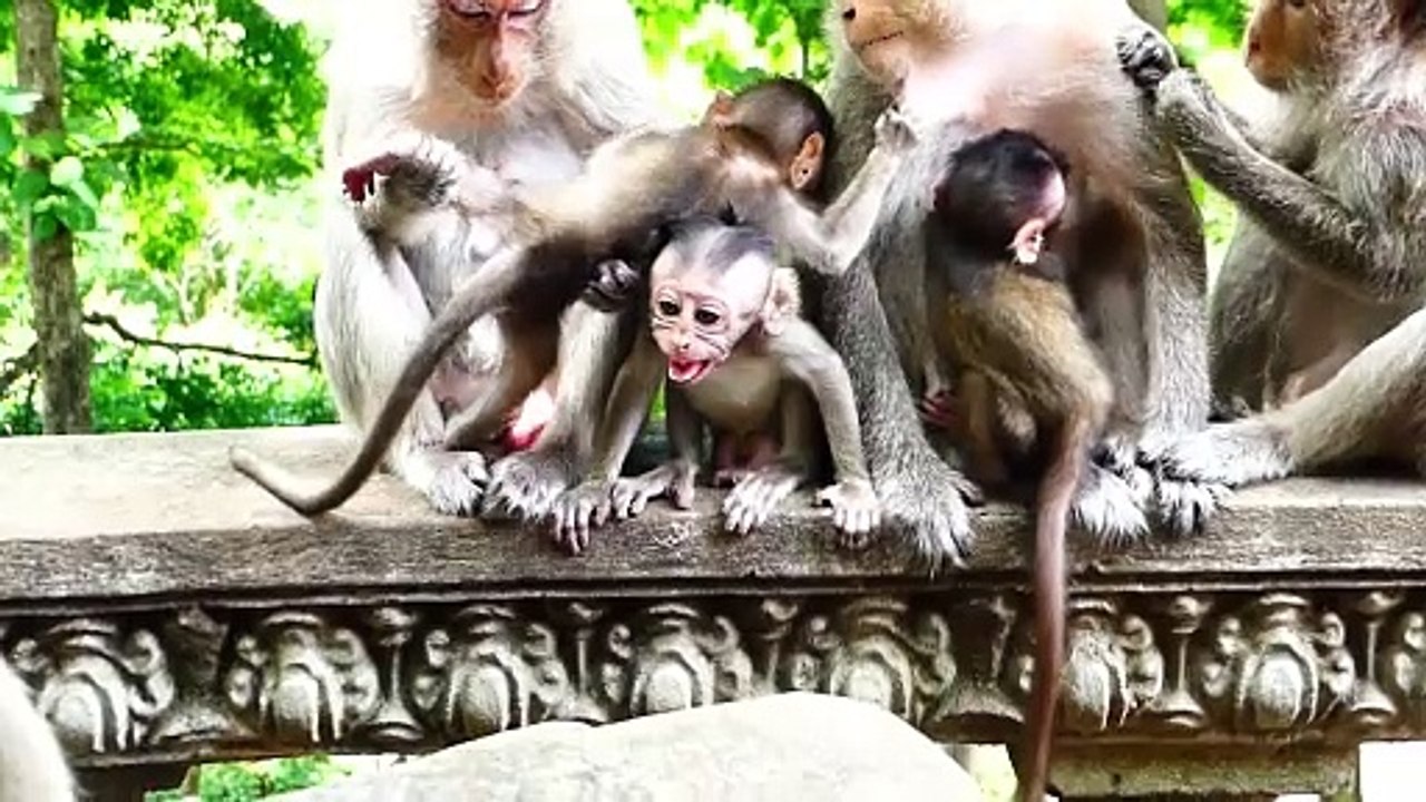 Wow It's Big Mouth!, Baby Sakura Falls Asleep (720p_25fps_H264-192kbit_AAC)