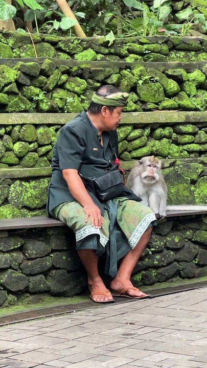 Monkey Takes Food From Man's Mouth