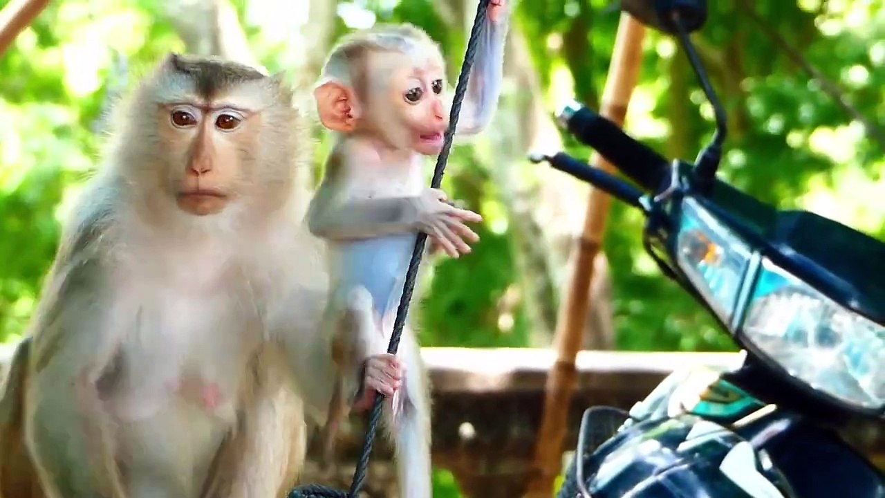 Young mom Moly is fully taken care baby Money, Money is really active (720p_25fps_H264-192kbit_AAC)