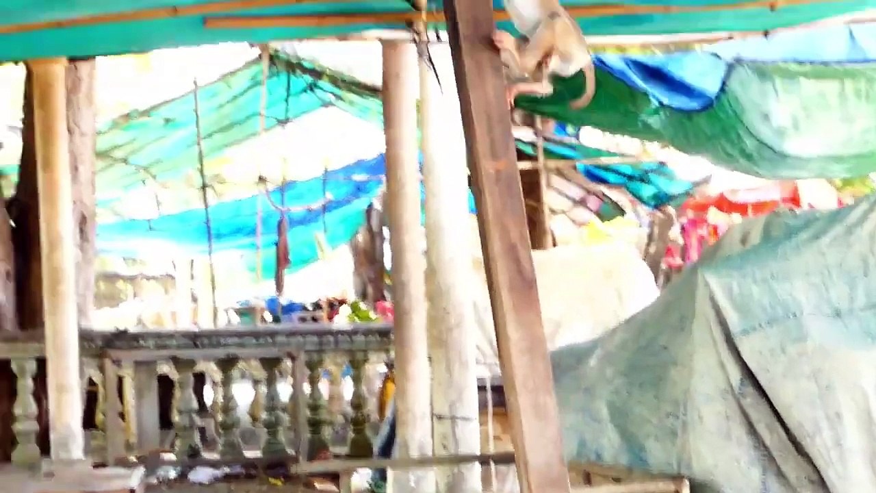 Young female perform nice arts with adorable baby Monaco, Monaco like to her so much (720p_25fps_H264-192kbit_AAC)