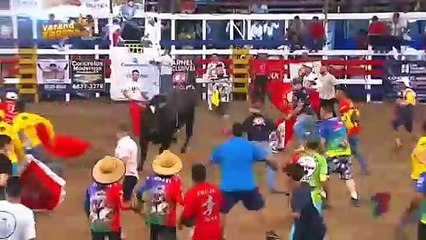 ext-gustavoaraya-130324