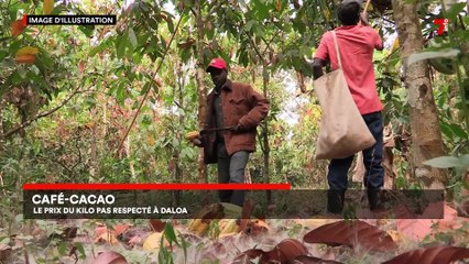 Le 7 minutes du 13 mars 2024 (édition du 19H)
