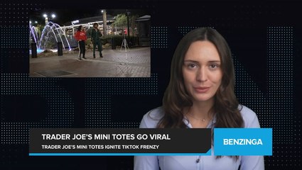 Trader Joe's Mini Tote Bags Take TikTok by Storm! 👜