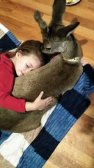 Girl Hugs a Very Docile Deer