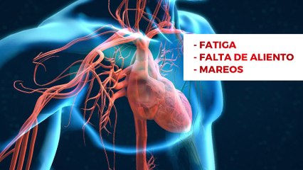 Optimiza tu salud y conoce la cardiomiopatía hipertrófica para prevenir incidentes - #MSP