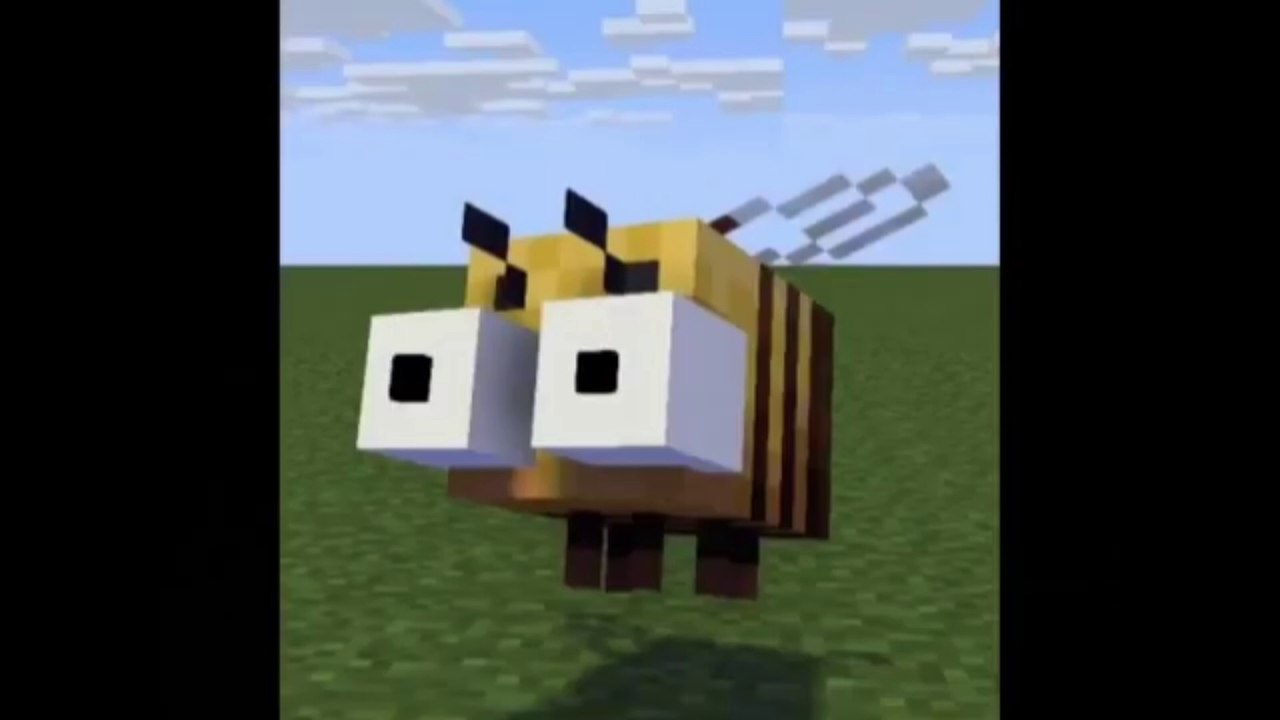 Minecraft Cursed Images - Sem Saúde