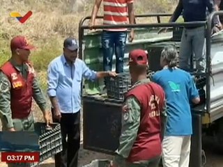 Bolívar | Inparques y Minec liberan morrocoyes sabaneros para sustentar su biología en el ecosistema