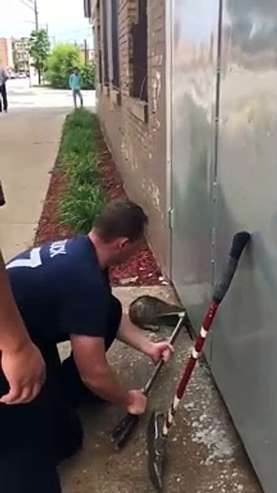 Chicago Firefighters Rescue Stuck Cat
