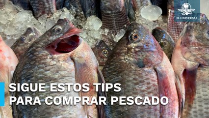 ¿El pescado que compras está en buen estado?; así puedes saberlo