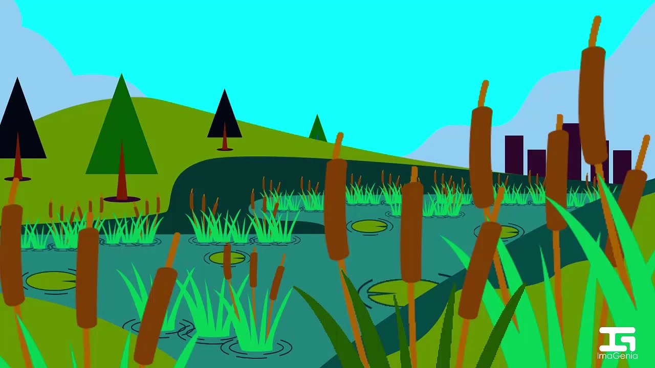 Día mundial de los humedales