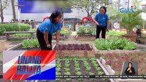 Mga babaeng urban farmer, kinilala ng Philippines Partnership for Sustainable Agriculture | UB