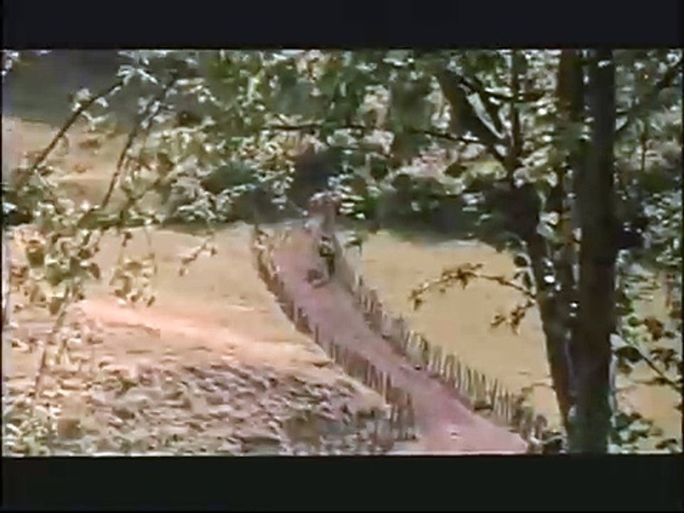 La Couleur du Paradis Bande-annonce (EN)