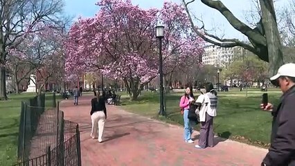 Americanos se preparam para novo embate Biden X Trump