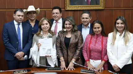 "Urgente y necesario": miembros del Senado piden que se debata la reforma a la salud