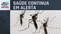 Dengue: São Paulo confirma 62 óbitos e 205 mil casos