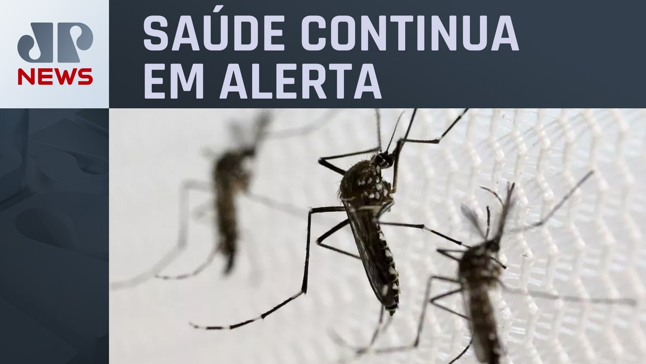 Dengue: São Paulo confirma 62 óbitos e 205 mil casos