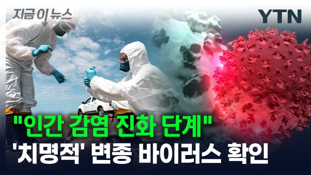 인간 감염 진화 단계 ...'치명적' 변종 바이러스 확인 [지금이뉴스] / YTN