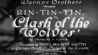 CLASH OF THE WOLVES avec Rin Tin Tin (1925) Muet S.T.Fr.