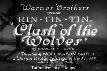 CLASH OF THE WOLVES avec Rin Tin Tin (1925) Film Complet Muet S.T.Fr.