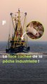 La face cachée et dramatique de la pêche industrielle. #science #climat
