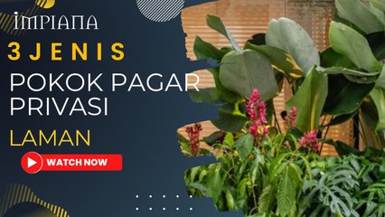 3 Jenis Pokok Pagar Privasi Laman