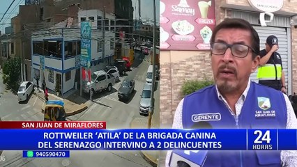 SJM: rottweiler de la brigada canina del Serenazgo ayuda a capturar a dos delincuentes