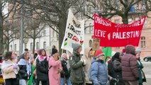 Pro-Palestines Rally in Front of Israel Embassy in Stockholm