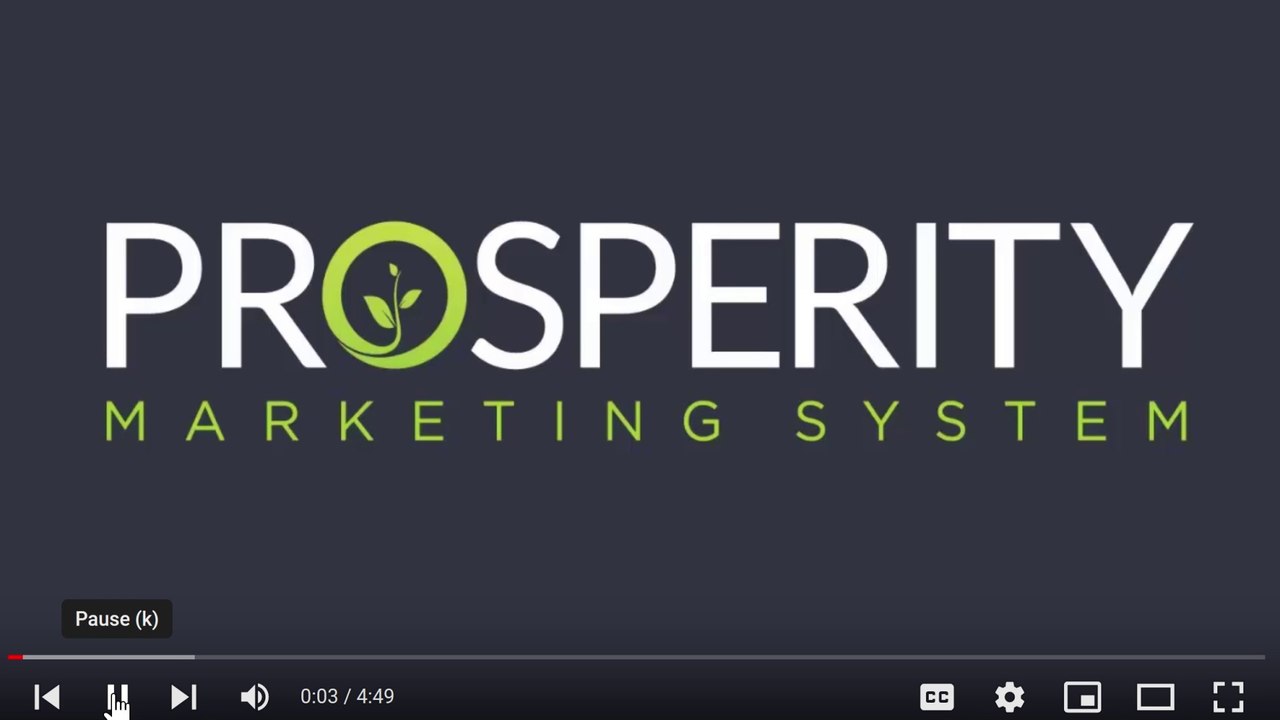 Prosperity Markeing System