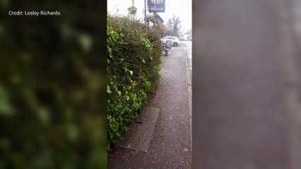 Lesley Richards, landlady of The Maypole Inn in Borden, shows the damage