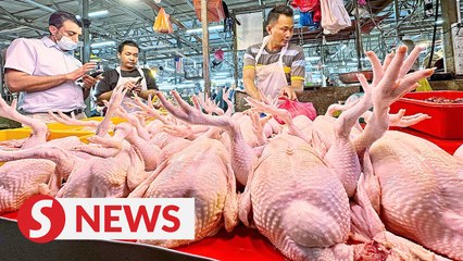 Prices, supply of chicken currently stable, Mat Sabu tells Parliament