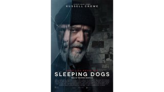 Sleeping Dogs (2023) FR