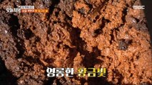 [TASTY] Brilliant golden color ✨ The most delicious 4-year-old soybean paste!, 생방송 오늘 저녁 240314