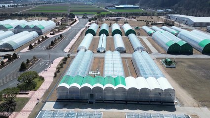 [녹색] 스마트팜 업그레이드 쉬워진다...농업용 앱스토어 '아라온실' 개발 / YTN