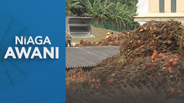 Niaga AWANI: Tingkatkan hasil jika mahu kekal relevan - Johari