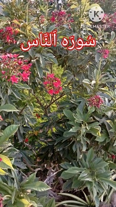 Surah An Naas | Surat ul naas | Tilawat quran | Learn Quran