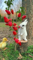 Bunny Eating a Strawberry