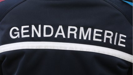 Disparition d'Ambre, 16 ans, dans la Loire : l’adolescente est introuvable depuis 3 semaines