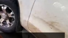 Your Ultimate Car Detailers in Wollongong! Get $5 OFF Now! - Muscle Hand Car Wash