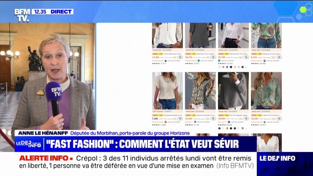 Anne Le Hénanff (porte-parole du groupe Horizons), sur la fast-fashion : L'idée, c'est d'obliger les acteurs de la 'fast-fashion' d'indiquer que leurs méthodes de production nuisent à l'environnement