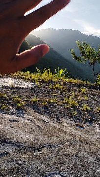 enjoying the sunrise