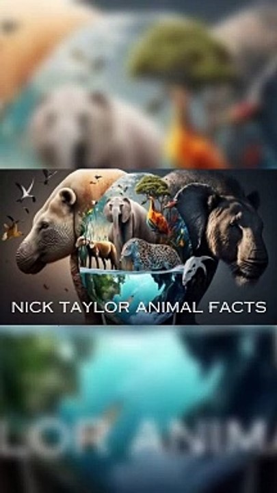 Facts About Chimpanzee