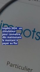 Impôts 2024 : un simulateur pour connaître dès maintenant le montant à payer au fisc