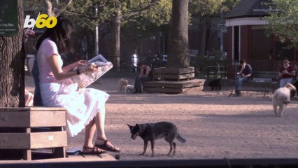 Dog Owners Can Be So Annoying Sometimes