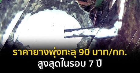 ราคายางพุ่งทะลุ 90 บาท/กก. สูงสุดในรอบ 7 ปี