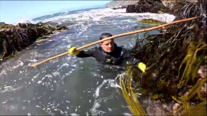 VICHUQUEN - "DE AQUÍ VENGO YO"