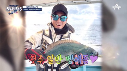 마르지 않는 벵에돔!? 잡아도 잡아도 끊이 없는 벵에돔 킬링 낚시(ㄷㄷ)